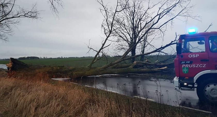 Silny wiatr w regionie. Interweniować musieli strażacy