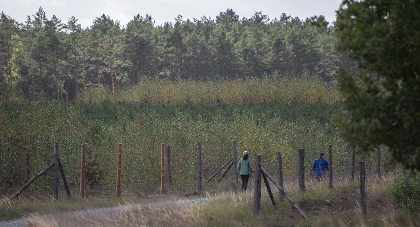 Lasy Państwowe dorzucają się z pomocą. Pieniądze trafią również do Świecia