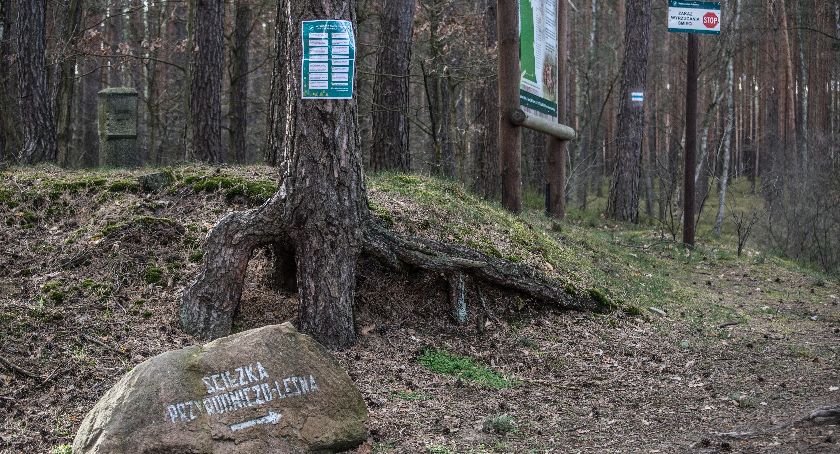 Zakaz wstępu do lasu w całej Polsce. U nas obowiązuje do odwołania