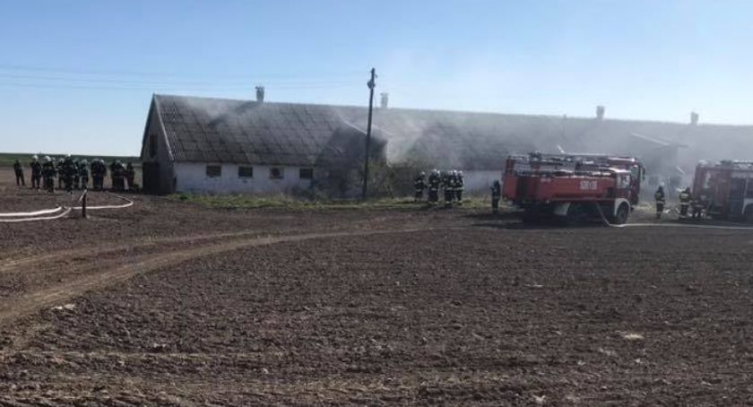 Pożar chlewni na terenie gminy Nowe. Sytuacja jest już opanowana