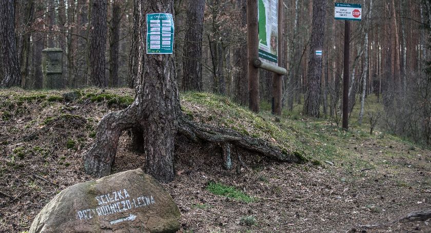 Duże zagrożenie pożarowe w lasach. Uważajcie na spacerach