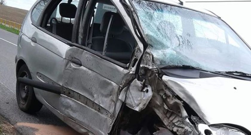 Na trasie Osie-Żur samochód uderzył w drzewo. Nikt nie odniósł obrażeń