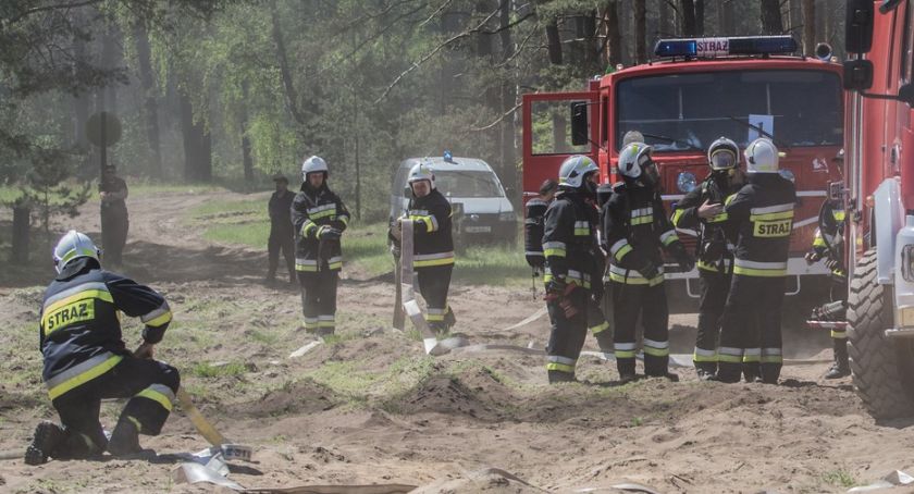 Pojechali do pożaru lasu, zastali co innego