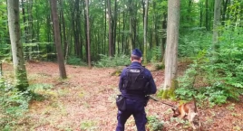 Trwa sezon na grzyby. Oto rady od policjantów
