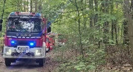 Pożar lasu w powiecie świeckim. Na miejscu pracowali&hellip;