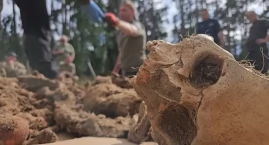 Szczątki trzech osób znalezione w powiecie świeckim.&hellip;