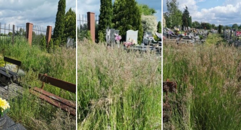 Skandaliczny wygląd cmentarza!