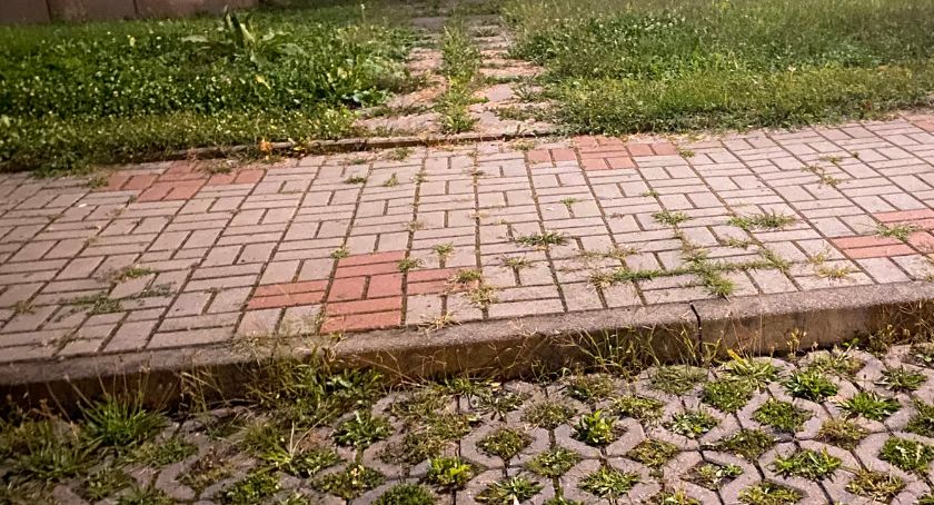 Parking przy cmentarzu zamienia się w łąkę 