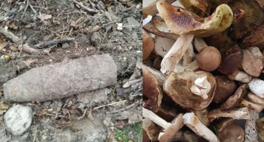 Grzybiarz znalazł bombę pod Niwnicą