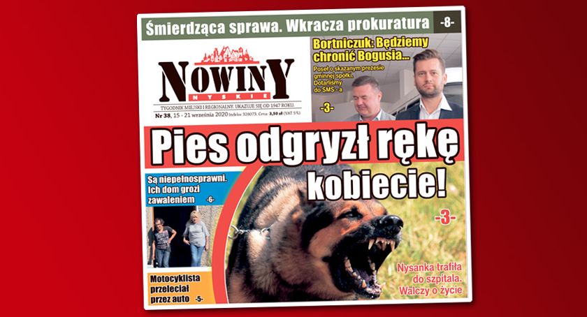Pies odgryzł rękę kobiecie. Co ustaliła prokuratura? 
