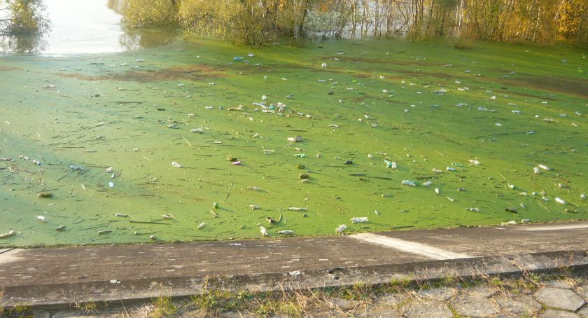 W jeziorze jest mnóstwo plastiku