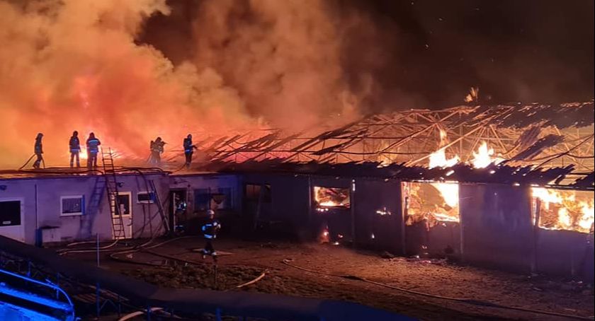 Pożar na terenie fermy kurzej