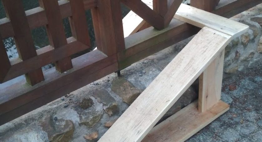 Kładka dla żab w Głuchołazach 