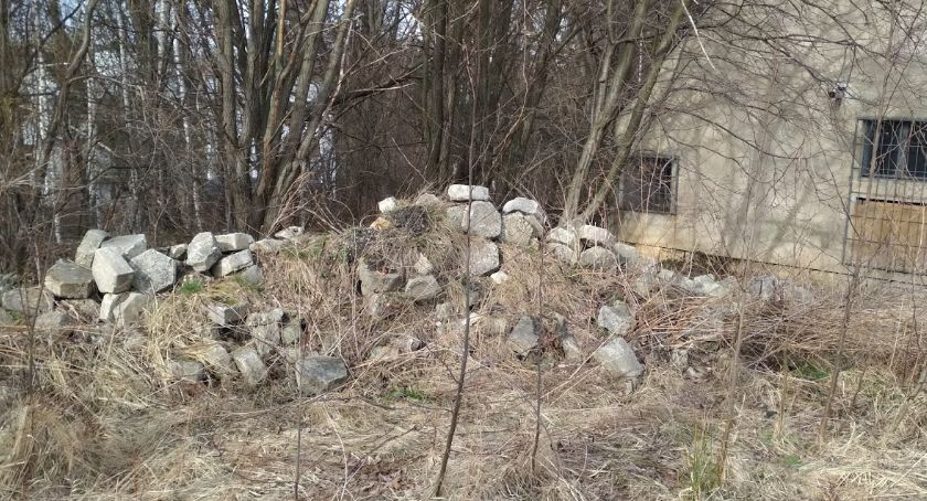 Gruz w parku krajobrazowym 