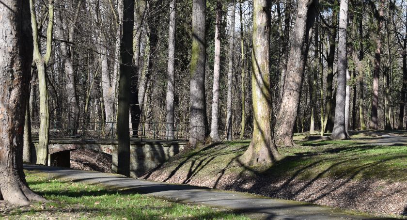 Rozpoczął się remont w parku miejskim