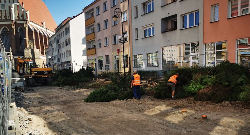 Wycinka drzew w Rynku