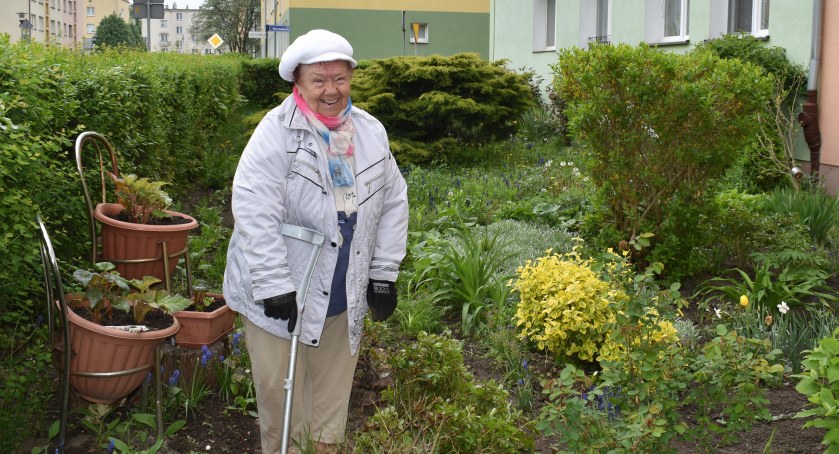 Ogródek w środku miasta 