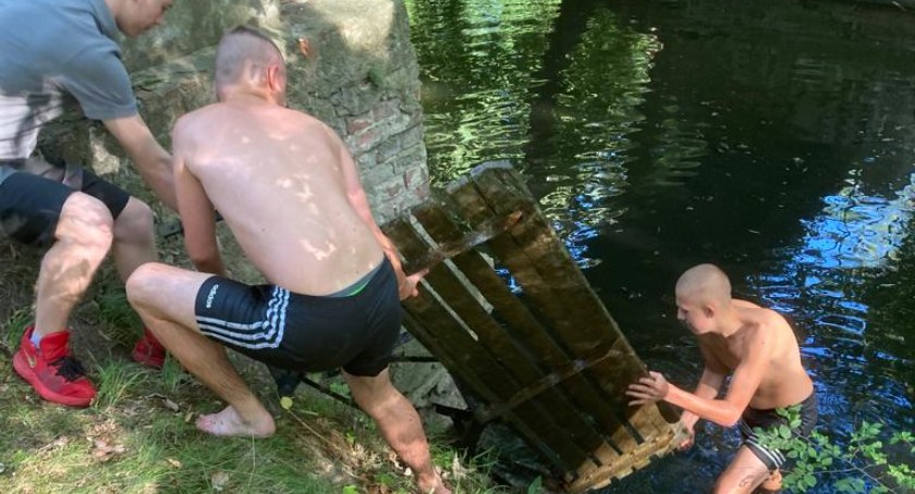 Podopieczni MOW w akcji 