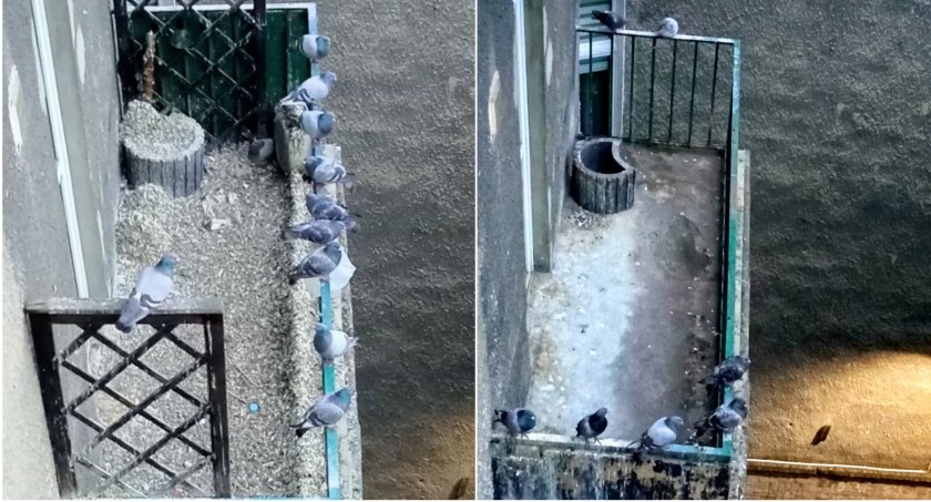 Agencja Rozwoju Nysy czyli robota na pół gwizdka