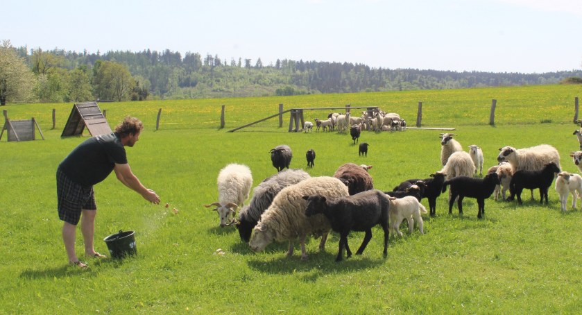 Życie na farmie, czyli czesko-polska droga przez region cz. 3