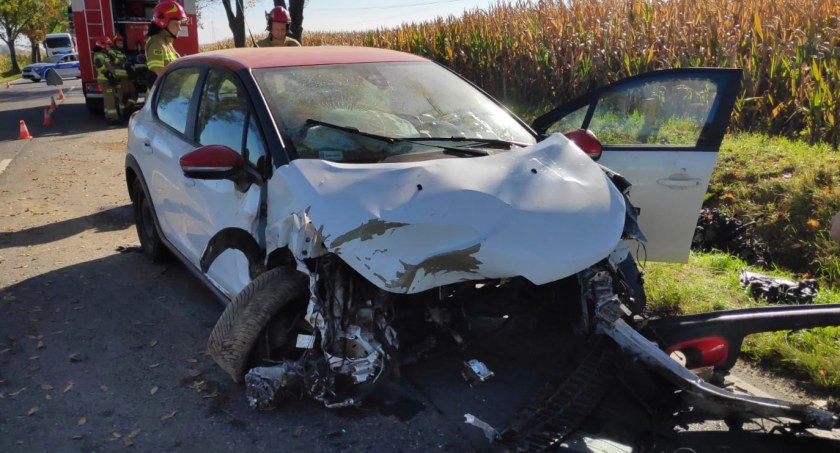 Wypadek na DK 46 pomiędzy Ściborzem a Starym Paczkowem 