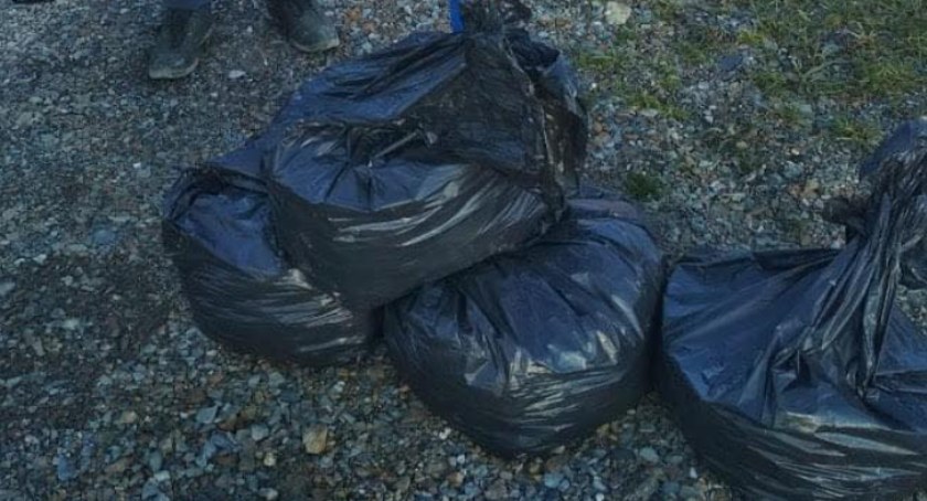 Brudne i cuchnące kosze problemem mieszkańców