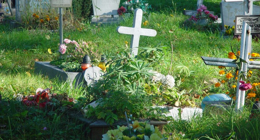 Ile pogrzebów sfinansowała gmina?