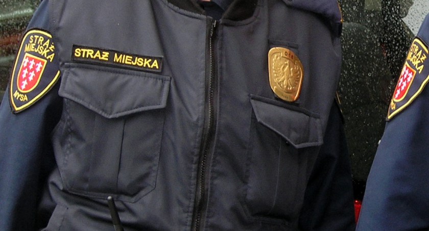 Ile razy interweniowała straż miejska?