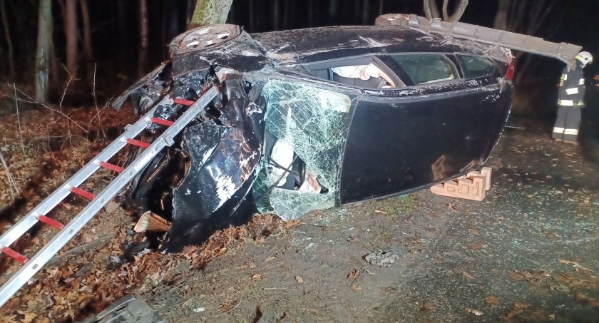 Audi zderzyło się z dzikiem