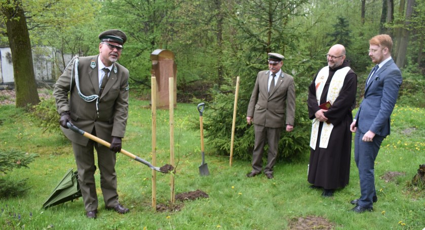 Dąb Papieski został posadzony w ogrodzie franciszkanów