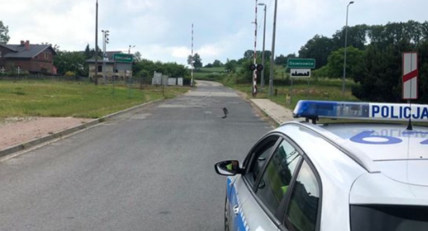 Uszkodzenie gazociągu w Goświnowicach. Ewakuowano szkołę 