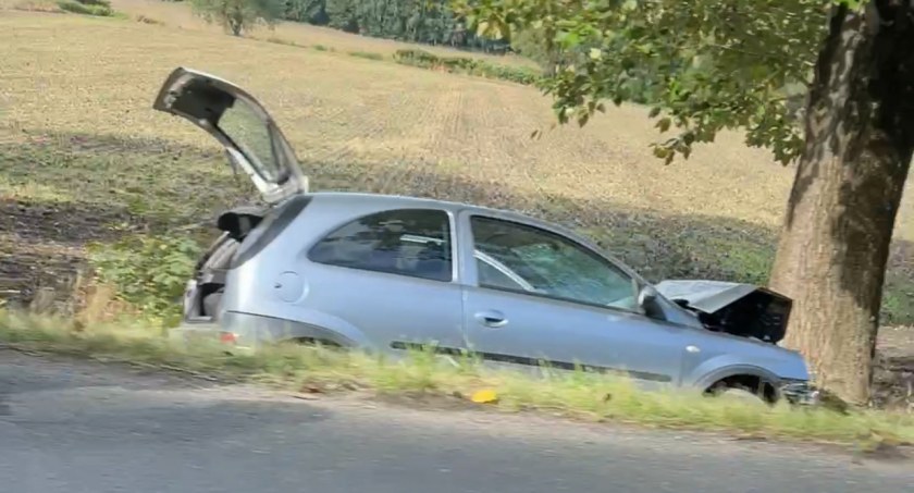 75-latek wpadł do rowu i uderzył w drzewo