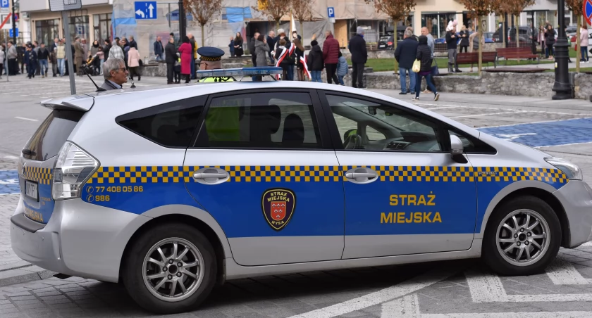 Ile blokad, ile mandatów, ile usuniętych aut?