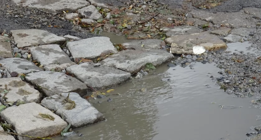 Ile kosztują ubezpieczenia gminy 