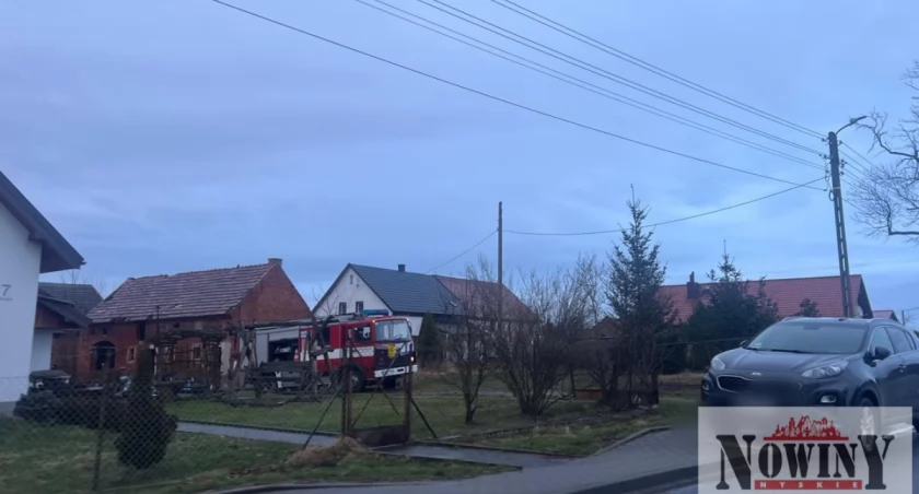 Bestialstwo! Utopił szczeniaki w szambie