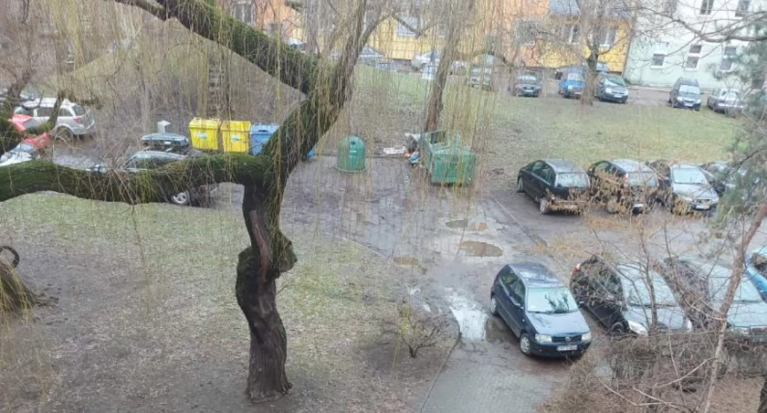 Zdewastowane i niebezpieczne. Podwórko wyrzut sumienia 