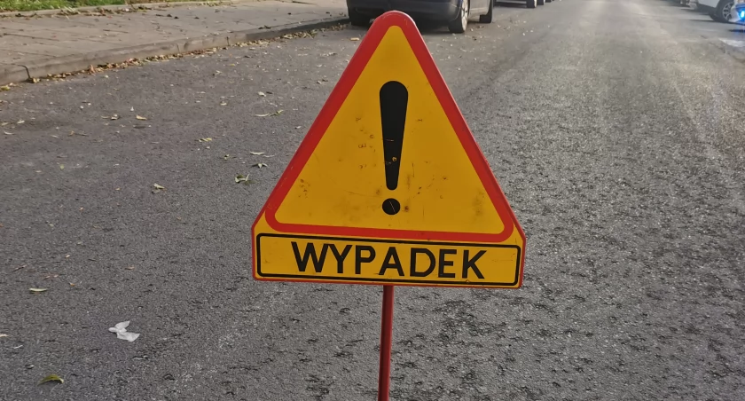 Przez sarnę zderzył się z drzewem 