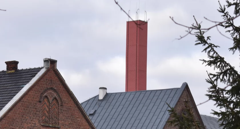 Kopciuchów coraz mniej