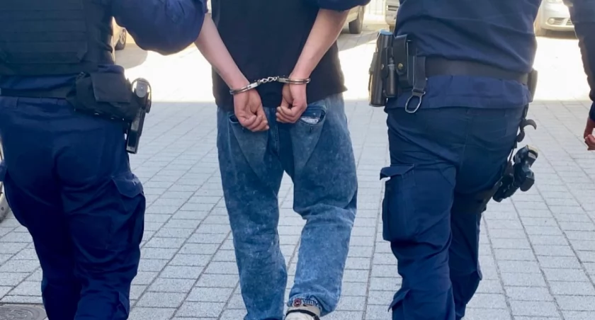 Mistrz kamuflażu chciał oszukać policjantów