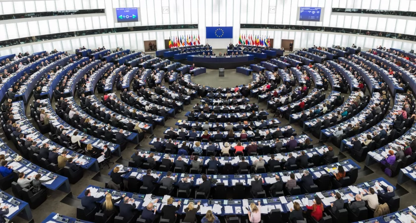 Kto do europarlamentu? Listy kandydatów 