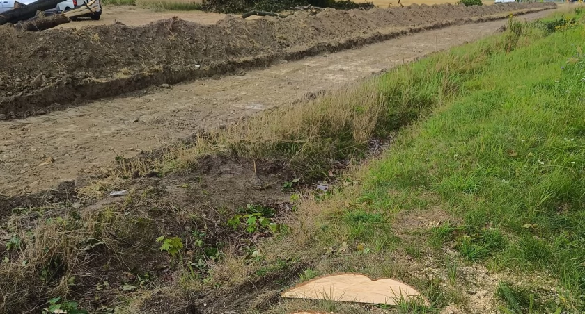 Droga dla rowerów kosztem drzew 