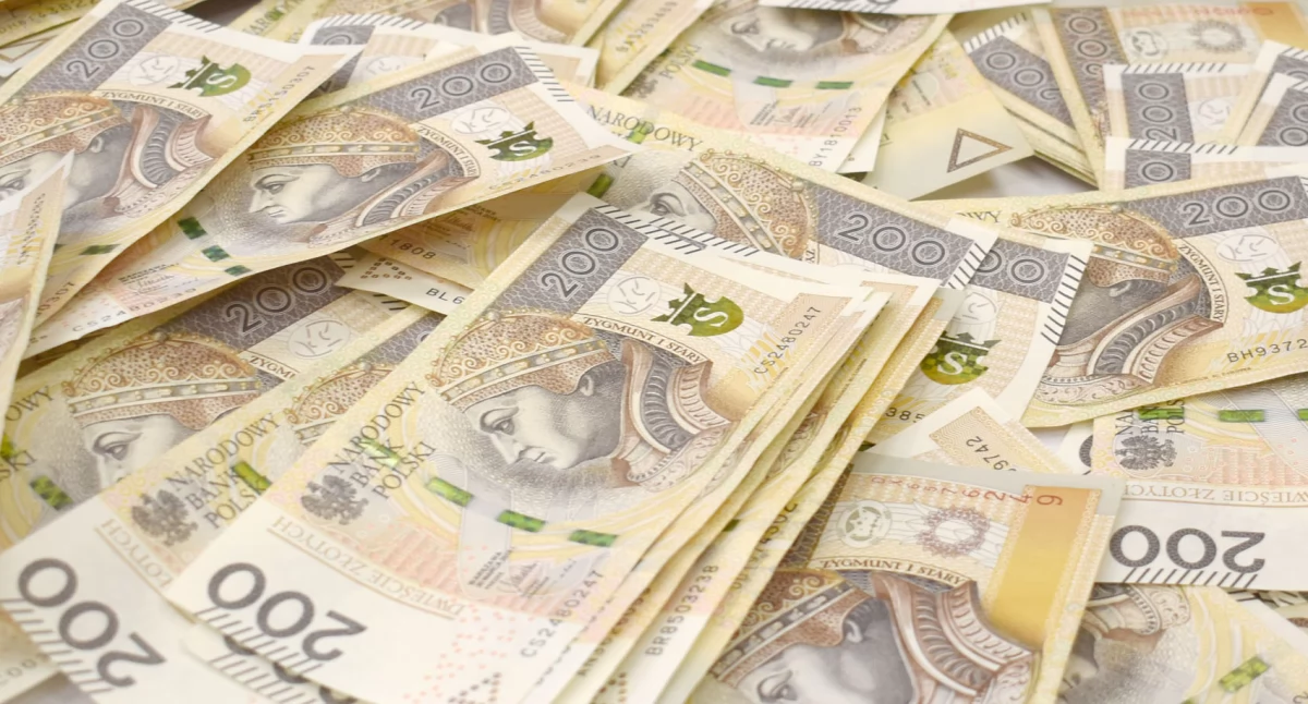 Zarobki prezesów gminnych spółek. Wyczałkowski zarobił ponad pół miliona!