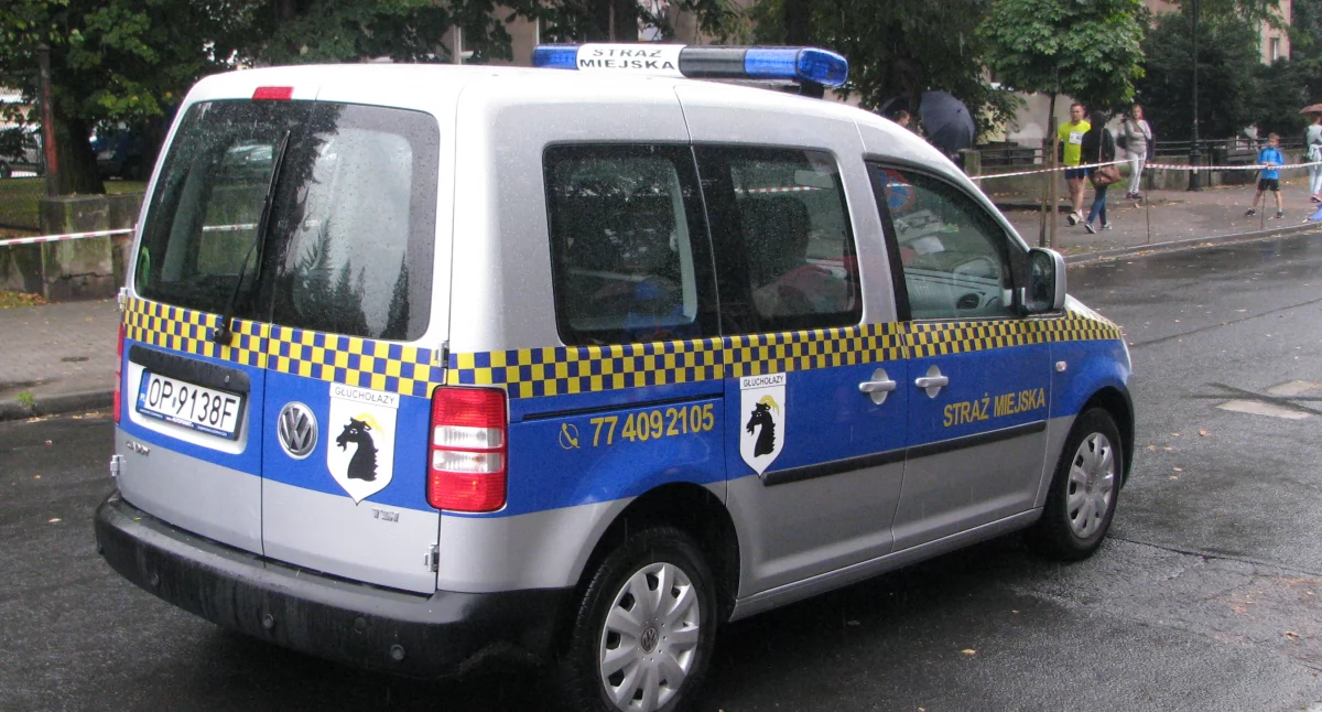 Dotacje dla policji i straży miejskiej 