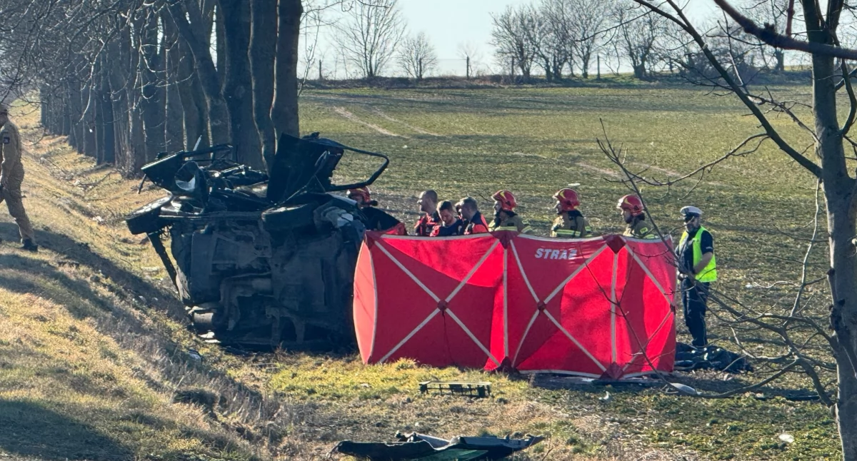 Tragedia. Cztery osoby zginęły w wypadku 
