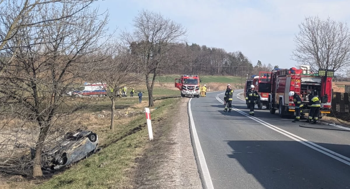 Dachowanie i pożar samochodu na krajowej 46