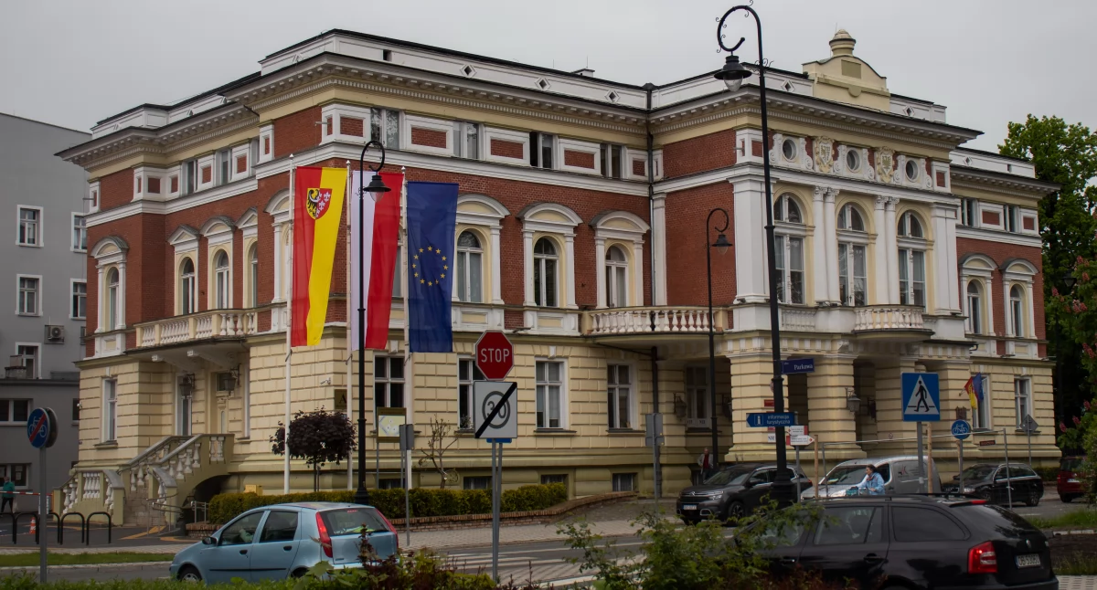 Powiatowy budżet obywatelski