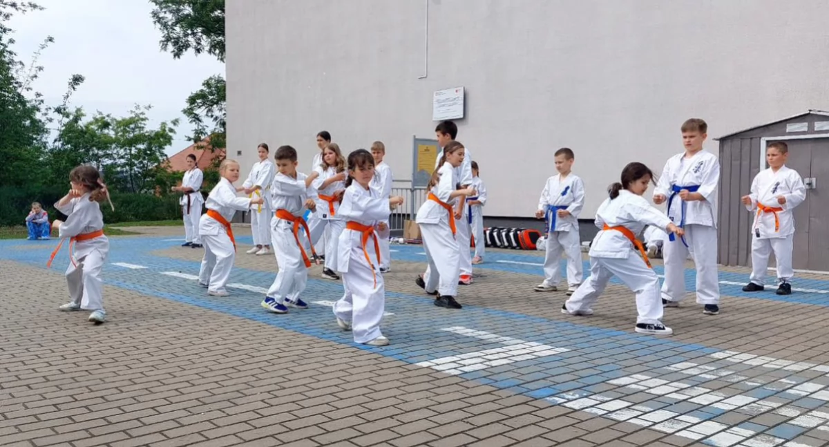 Pokazy karateków w Niwnicy