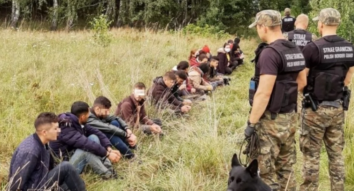 Nysa: Petycja w sprawie migrantów odrzucona