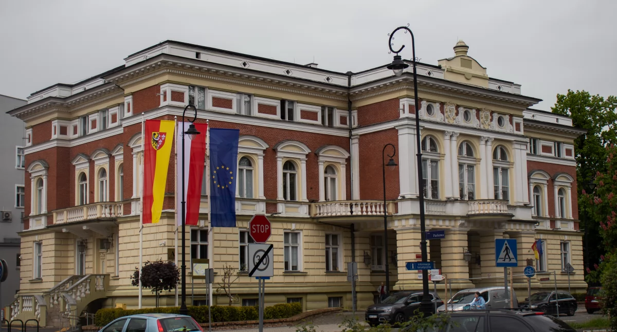 Radni powiatu nyskiego. Zarobki i majątki