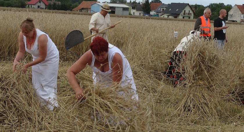 Żęcie, cięcie i młócenie